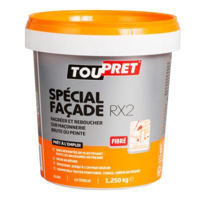enduit de facade en pate 1 25 kg coloris blanc castorama