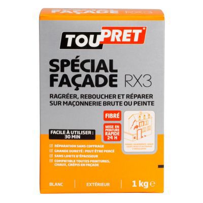 enduit de facade en poudre 1 kg coloris blanc castorama