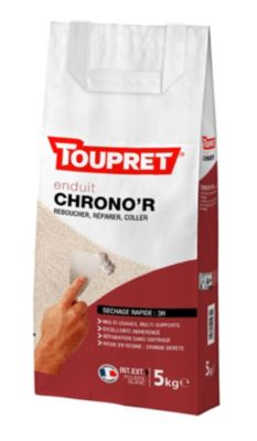 Enduit de rebouchage en poudre a sechage rapide sac de 5 kg Toupret