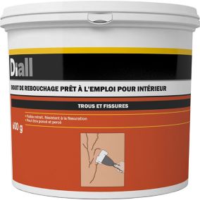 Enduit de rebouchage prêt à l'emploi DIALL 600g