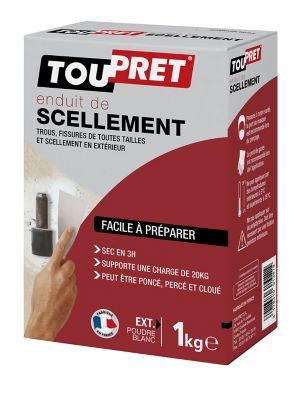 Enduit de scellement extérieur poudre blanc Toupret 1kg