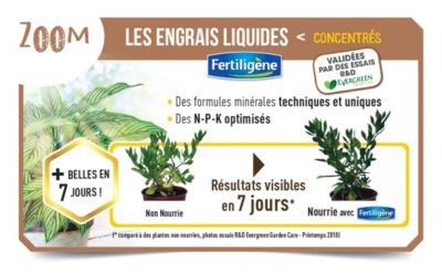 Engrais liquide bonsais Fertiligène 250ml