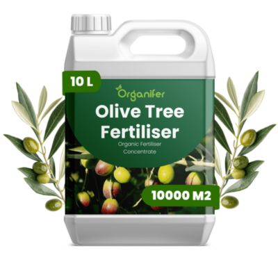 Engrais Liquide pour Olivier - 10 L - Organifer