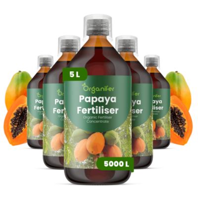 Engrais Liquide pour Papayer - Lot de 5 x 1 L - Organifer