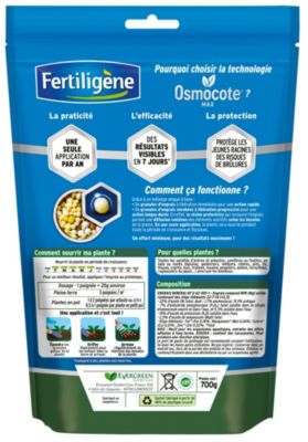Engrais Osmocote Pour Arbustes, Buis Et Conifères - Fertiligène 8961 - Libération Progressive Sur 6 Mois - Apport Unique De Mars à Juin - 6