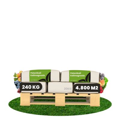 Engrais Patentkali Kalimagnesium - 240 Kg Pour 4800 M2 - Organifer