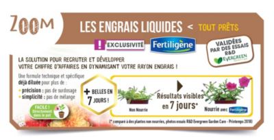 Engrais plantes vertes prêt à l'emploi Fertiligène 1L
