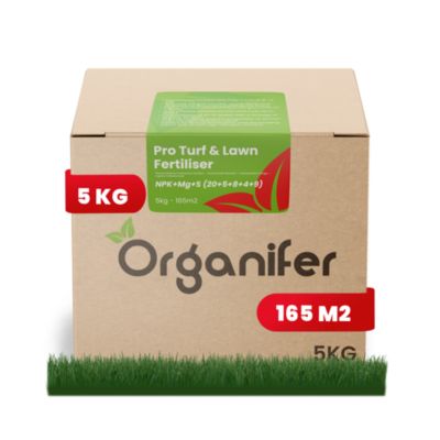Engrais Pro pour Pelouses et Gazons - Libération Contrôlée - 5 kg pour 165 m2 - Organifer