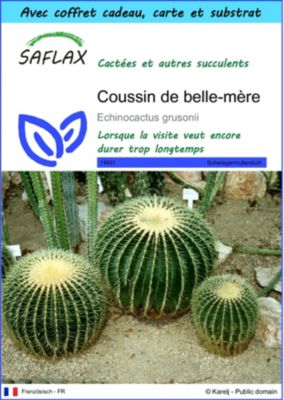Ensemblecadeau Coussin de bellemère 40 graines Echinocactus — free download
