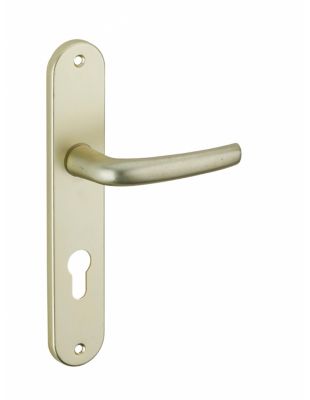 Ensemble de poignées pour porte d'entrée Maia trou de cylindre, carré 7mm, entr'axes 195mm, couleur F2 - THIRARD