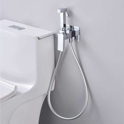 Ensemble douchette hygiénique WC SKY BATH chromé  Inox S304 série SERENITY