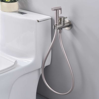 Ensemble douchette hygiénique WC SKY BATH nickel brossé  Inox S304 série HARMONY