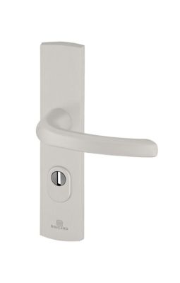 Ensemble poignée de porte blindée sur plaque standard eMUST Bricard entraxe 195mm brossé argent