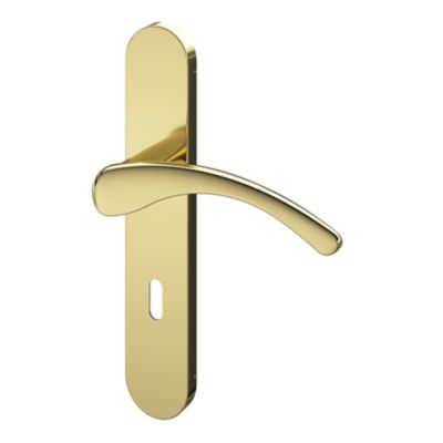 Ensemble poignée sur plaque rond serrure GoodHome Ruis effet laiton doré L.138.5mm x l.42mm entraxe 165-195mm