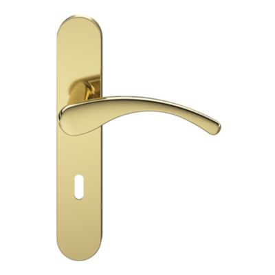 Ensemble poignée sur plaque rond serrure GoodHome Ruis effet laiton doré L.138.5mm x l.42mm entraxe 165-195mm