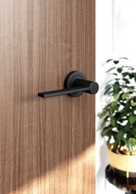 Ensemble poignée sur rosace Droit à visser GoodHome Dotz mat noir Ø52mm