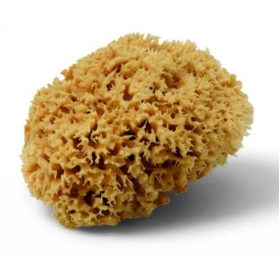 Eponge naturelle Schuller Magic Sponge 12 14 cm decoration interieur
