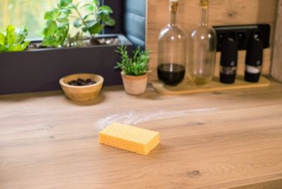 Éponges très absorbantes multi-usages x2 Élephant