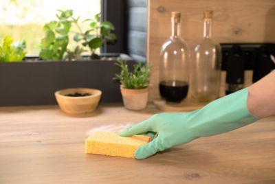 Éponges très absorbantes multi-usages x2 Élephant