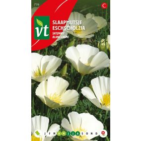 Eschscholtzia Blanc Creme - Ca. 1 gr