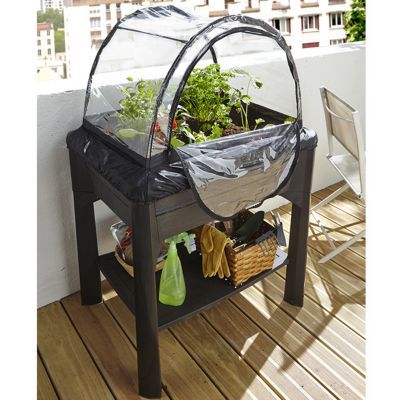 Espace potager Eda Veg&table + serre gris anthracite 79 x 59 x h.120 cm
