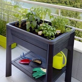 Espace potager Eda Veg&table + serre gris anthracite 79 x 59 x h.120 cm