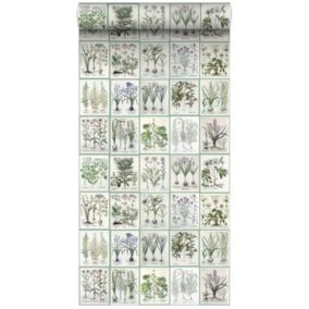 ESTAhome papier peint intissé XXL pages d'un livre botanique avec fleurs et plantes gris chaud clair et vert - 50 x 900 cm - 15882