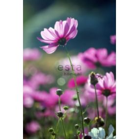 ESTAhome papier peint panoramique fleurs sauvages rose - 186 cm x 279 m - 158005