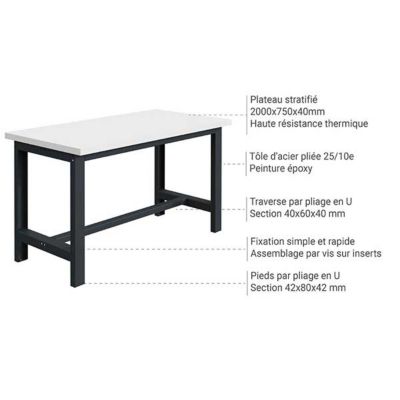 Etabli à résistance thermique - Plateau 2000x750x40mm - Bleu RAL5015 - W010010162-BI