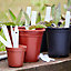 Etiquettes à planter plastique Verve 10 cm (lot de 50)