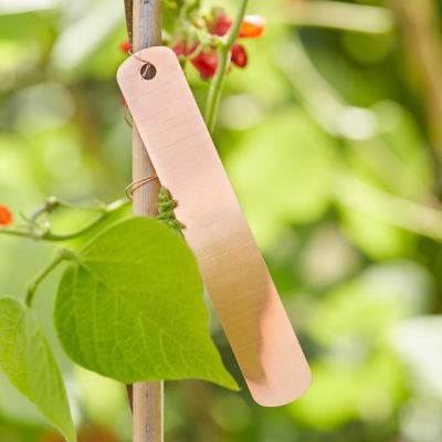 Étiquettes De Jardin En Cuivre Suspendues - 120x20 Mm - Réutilisables, Résistantes Aux Intempéries (Lot De 20) - 2