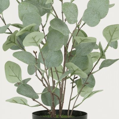 Eucalyptus artificiel effet blanchi 60cm