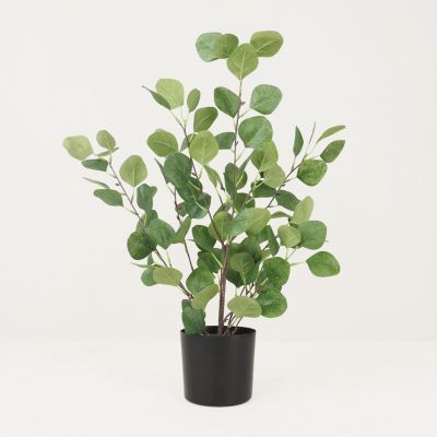 Eucalyptus artificiel vert 60cm