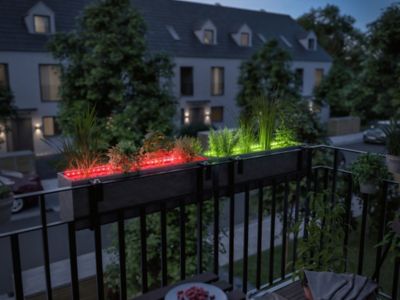 Extension Flower Box Link + Light 80cm RGB avec Touch Switch