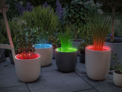 Extension Flower Box Link + Light 80cm RGB avec Touch Switch