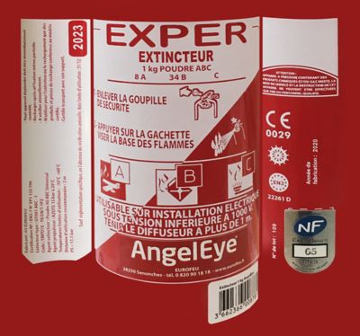Extincteur poudre pression auxiliaire ANGELEYE 1kg