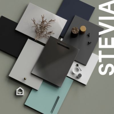 Façade tiroir Stevia gris anthracite brillant L. 100 cm x H. 34 cm Caraway Innovo GoodHome vendue par 2