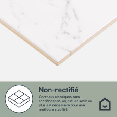 Faïence murale effet marbre blanc L.60 x l.20 cm x ép.9,4 mm, Aruma