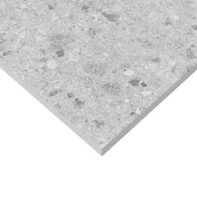 Faïence murale intérieur effet pierre gris clair L.75 x l.25 cm x ép.8,7 mm, GeoTech
