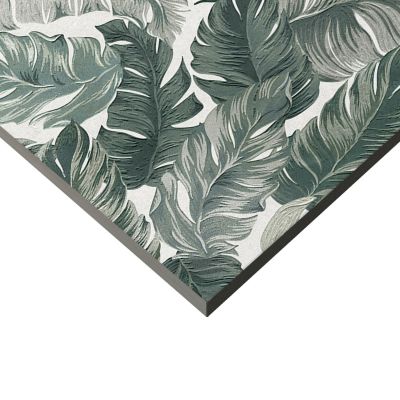Faïence murale intérieur feuillages verts Amazonia L.120 x l.40 cm x ép.10,8 mm, Aspen