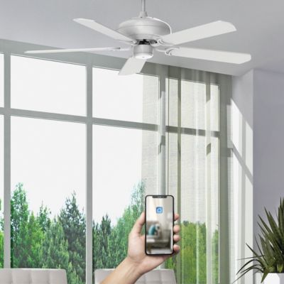 Fanelite - Ventilateur de plafond 152 cm ALIZE - Moteur DC 38W - Télécommande - Wifi&Contrôles vocaux - 5 pales - Très silencieux