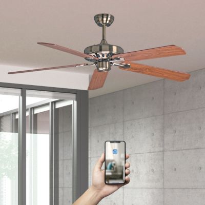 Fanelite - Ventilateur de plafond 152 cm SIROCO - Moteur DC 38W - Télécommande - Wifi&Contrôles vocaux - 5 pales - Très silencieux