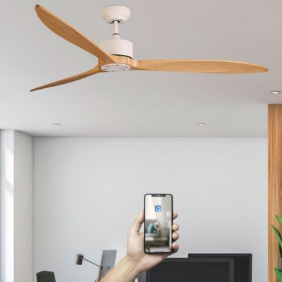 Fanelite - Ventilateur de plafond 164 cm blanc et bois GUANA - Moteur DC 35W - Télécommande - Wifi - Très silencieux