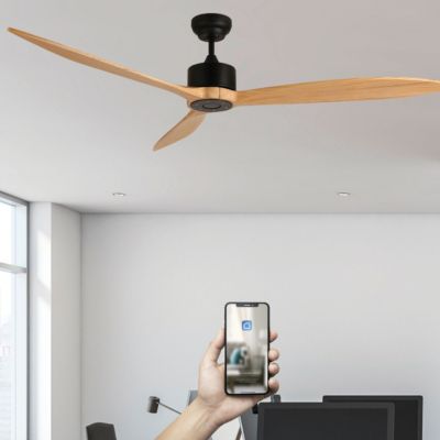 Fanelite - Ventilateur de plafond 164 cm noir et bois LIFOU - Moteur DC 35W - Télécommande - Wifi - Très silencieux