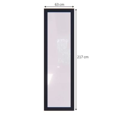 Fenêtre fixe double vitrage GoodHome en aluminium gris l.63 x H.217 cm
