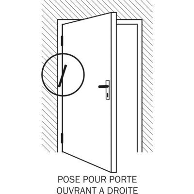 Ferme-porte à ressort Diall blanc Acier