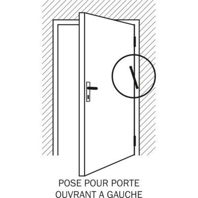 Ferme-porte à ressort Diall blanc Acier