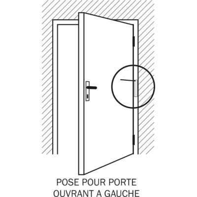 Ferme-porte à tige aluminium Diall 28cm