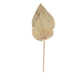 Feuilles décoratives de palmier sechées XL H.70cm, 2 pièces JBY creation