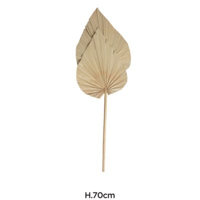 Feuilles décoratives de palmier sechées XL H.70cm, 2 pièces JBY creation